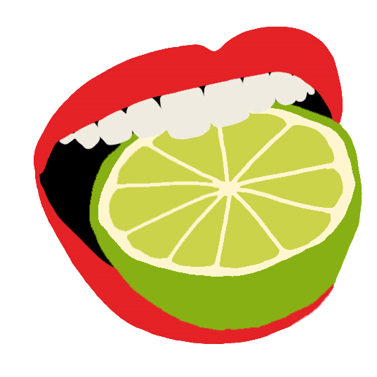 limo-logo-navbar